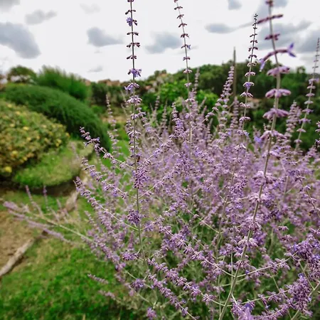 Il Pozzo Fiorito Cossombrato