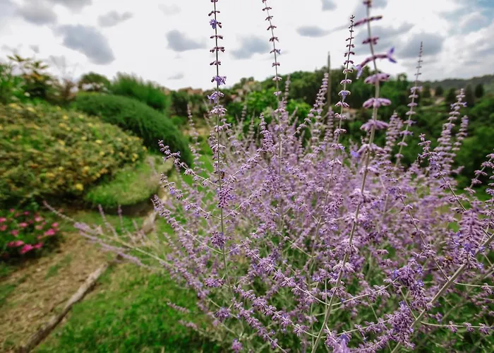 Il Pozzo Fiorito Cossombrato